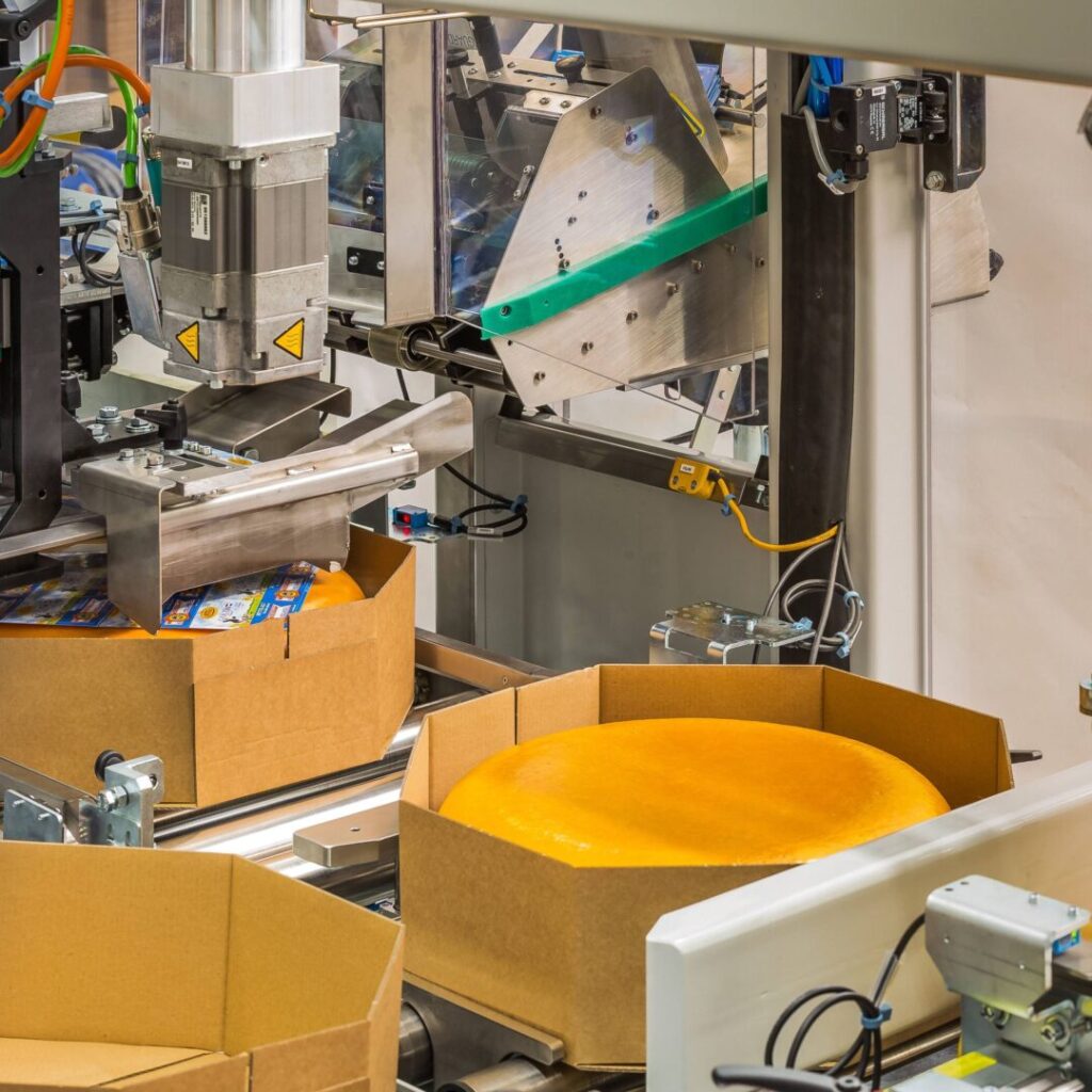 Avercon_764_packagingline_packaging-of-cheese-scaled